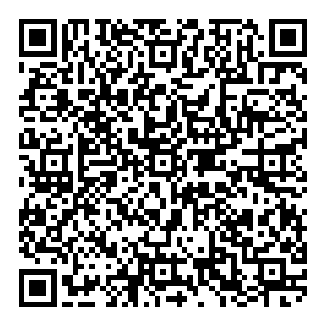 Simplifed QR Code